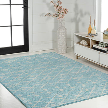 Aksil Moroccan Beni Souk Area Rug